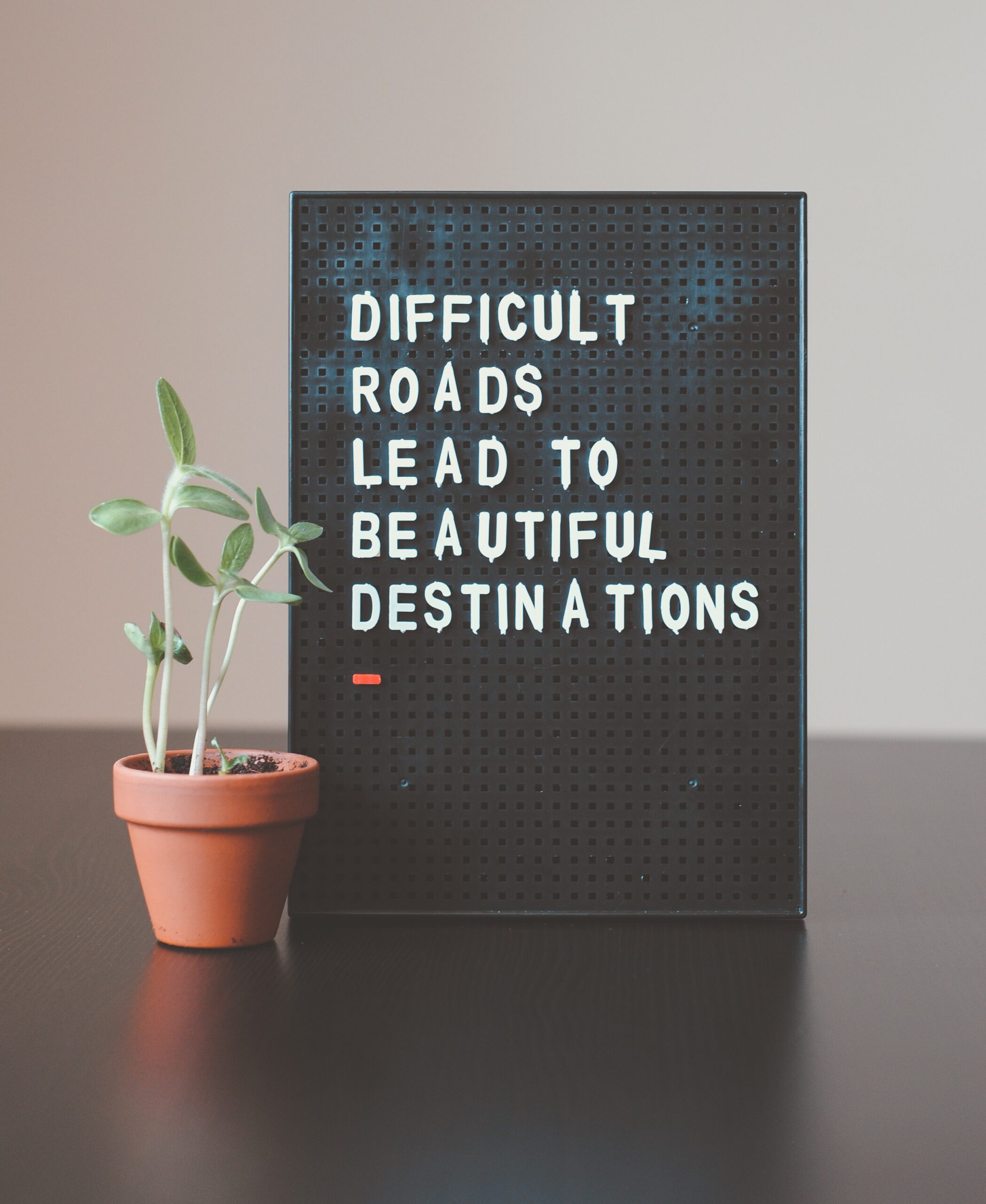 Image of plant next to sign that reads difficult roads lead to beautiful destinations